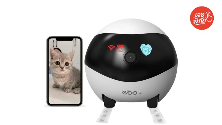 กล้องดูสัตว์เลี้ยงโดยอัตโนมัติ ยี่ห้อ Aisee Pet Robot Camera
