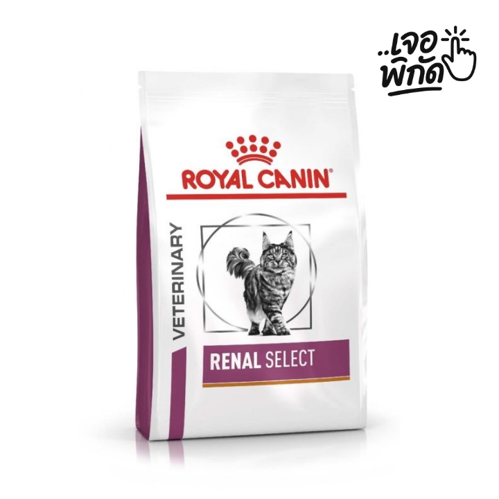อาหารแมว โซเดียมต่ำ ราคาถูก ยี่ห้อ ROYAL CANIN RENAL SELECT FELINE