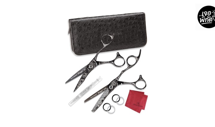 10 กรรไกรตัดผม (สำหรับช่างหัดตัด) ยี่ห้อไหนดี? งบไม่เกิน 3,000 บาท! (อัปเดต 2568)