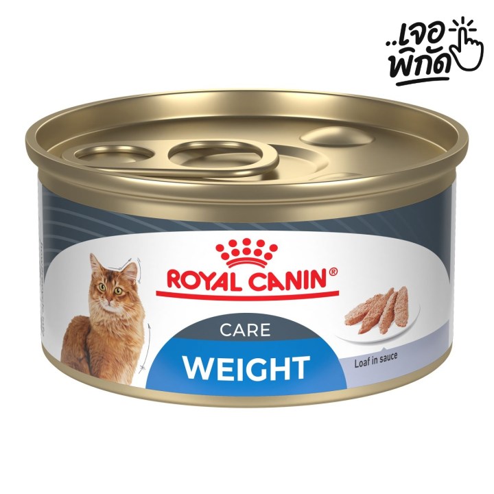 อาหารเปียกแมว ยี่ห้อไหนดี : Royal Canin