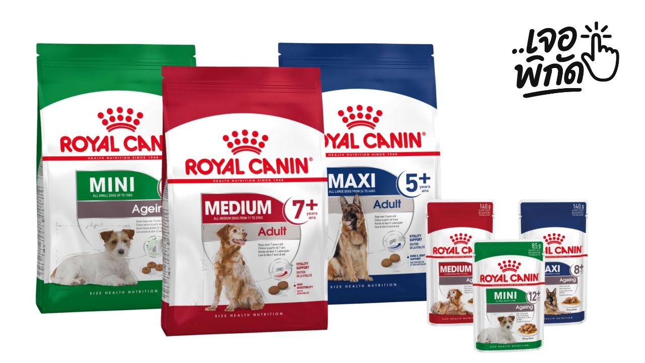 อาหารสุนัข Royal Canin