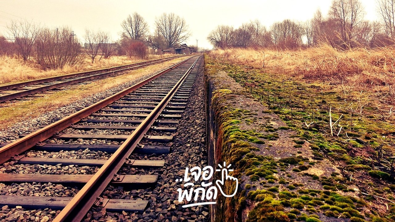 เช็กขบวนรถไฟล่าสุด สายเหนือ 2569/2026 อัปเดตตารางเวลาและราคาตั๋ว กรุงเทพฯ-เชียงใหม่