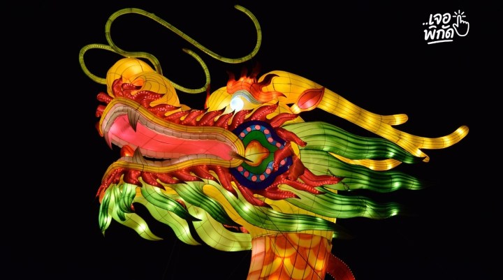 12 ปีนักษัตร มีอะไรบ้าง? รู้จักความหมาย สัตว์ประจำปี และความเชื่อตามวัฒนธรรมจีน