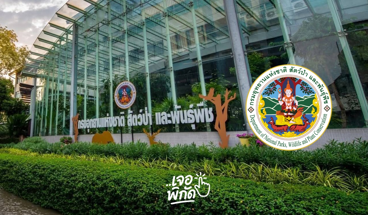 รู้จัก “กรมอุทยานแห่งชาติ สัตว์ป่าและพันธุ์พืช” ผู้ดูแลผืนป่าและรักษาความหลากหลายทางชีววิทยา