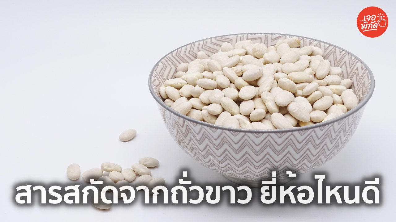 10 สารสกัดจากถั่วขาว เหมาะกับคนชอบทานแป้ง รู้จักประโยชน์และวิธีเลือกซื้อ