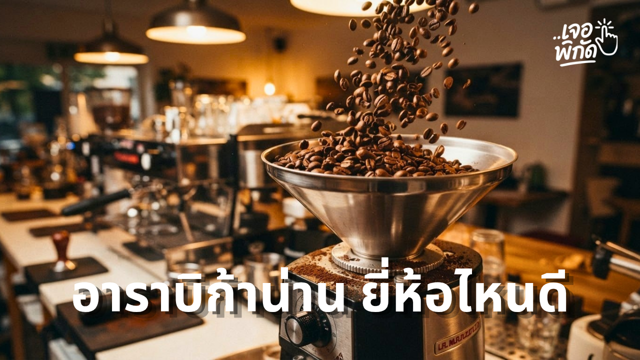 10 เมล็ดกาแฟน่าน ยี่ห้อไหนดี 2026 หอมอาราบิก้า 100%