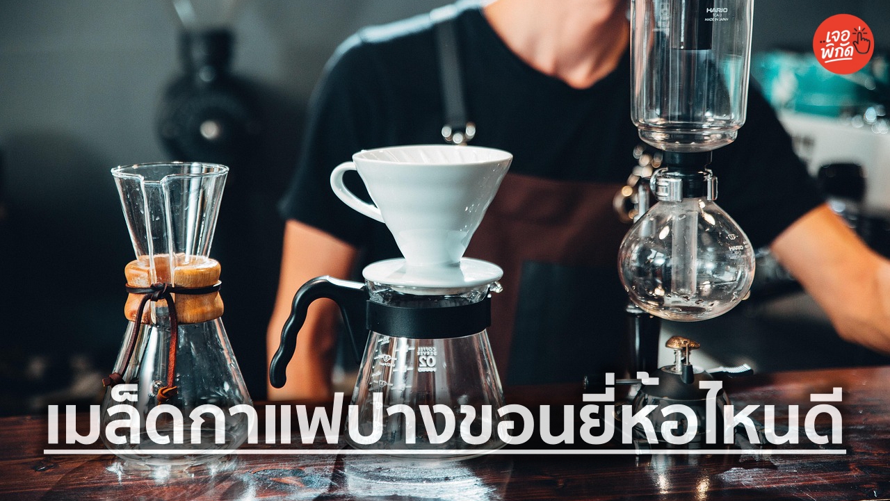 10 เมล็ดกาแฟปางขอน ยี่ห้อไหนดี 2026 รวมกาแฟคั่วหอม รสชาติดี ราคาไม่แพง